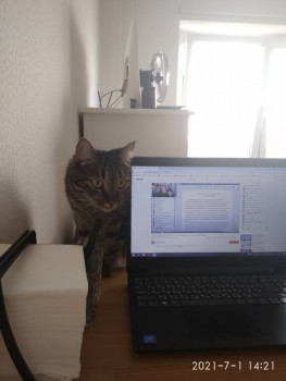 Чем сегодня занимались - IMG_20210701_142126.jpg