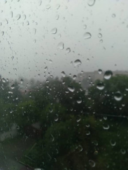 Поговорим о погоде - 20210706_141937.jpg