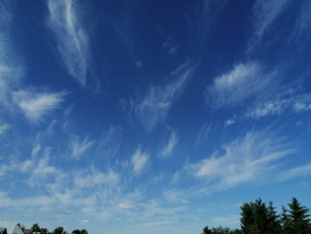 Мне бы в небо.. - IMG-20210706-WA0014.jpg