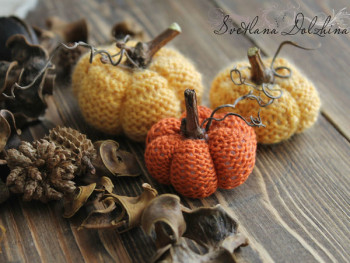 Всякие безделицы спицами и крючком копилка  - 1.jpg