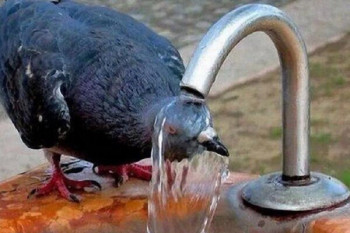 А у вас сейчас какое настроение? - IMG-37f6face2378e2ff7ea05b81dcee191a-V.jpg