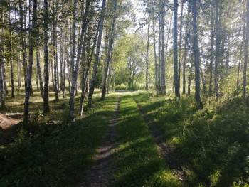 Чем сегодня занимались - IMG_20210711_181911.jpg