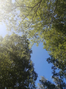 Чем сегодня занимались - IMG_20210711_173341.jpg