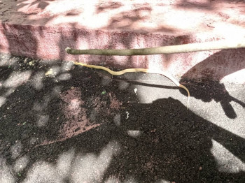 Чем сегодня занимались - IMG_20210722_142354.jpg