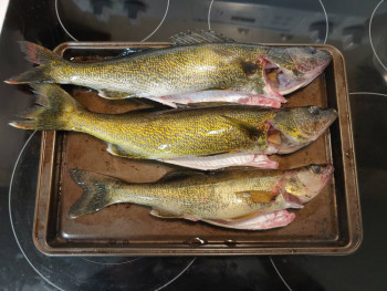 Чем сегодня занимались - 20210729_210105~2.jpg