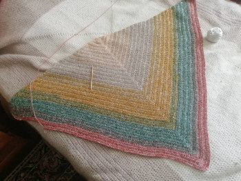 Фотоотчеты и планы Рукодельного марафона - IMG_20210802_090953.jpg