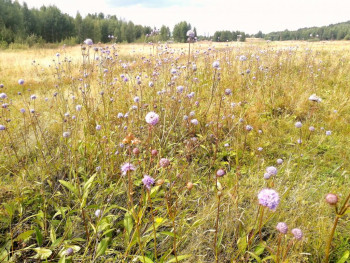 Чем сегодня занимались - IMG_20210806_173937.jpg