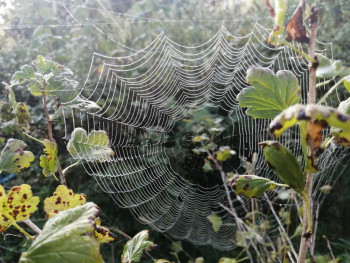 Чем сегодня занимались - IMG_20210809_064503.jpg