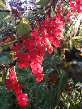 Чем сегодня занимались - IMG_20210809_064808.jpg