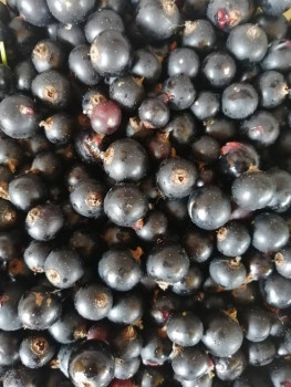 Чем сегодня занимались - IMG_20210809_134218.jpg