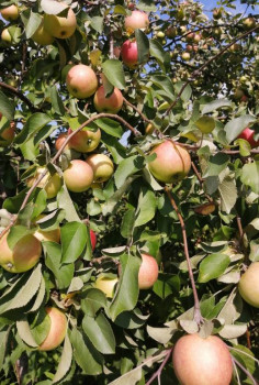 Чем сегодня занимались - IMG_20210809_155559.jpg