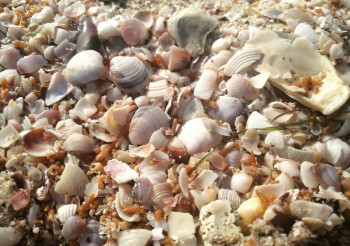 Чем сегодня занимались - IMG_20210823_182540.jpg