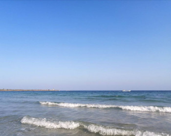 Чем сегодня занимались - IMG_20210823_182620.jpg