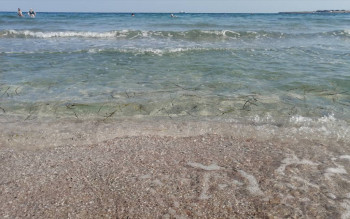 Чем сегодня занимались - IMG_20210823_182442.jpg