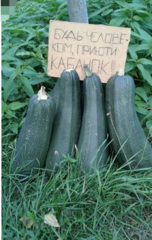 Из ВКонтактика с приветиком  - IMG_20210825_122946.jpg