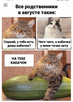 Из ВКонтактика с приветиком  - IMG_20210825_122533.jpg