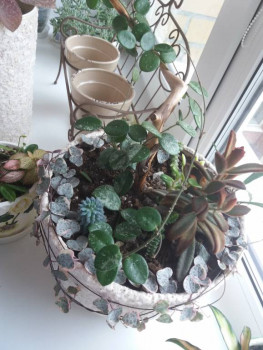 Наши увлечения на досуге. Делимся и вдохновляемся . - 20210826_155717.jpg