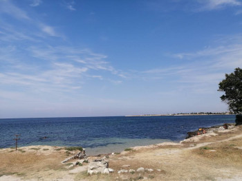 Чем сегодня занимались - IMG_20210826_143117.jpg