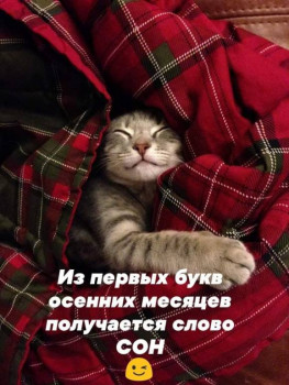 Из ВКонтактика с приветиком  - jtwdR8oOSL8.jpg