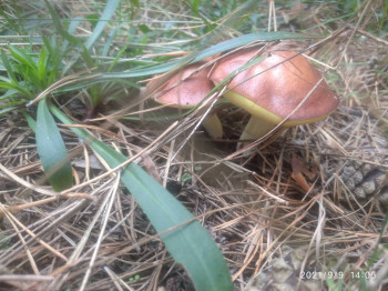 Чем сегодня занимались - IMG_20210909_140552.jpg