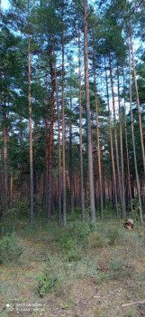 Чем сегодня занимались - IMG_20210911_125746.jpg