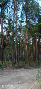 Чем сегодня занимались - IMG_20210911_125742.jpg