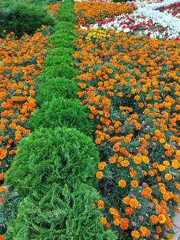 Чем сегодня занимались - IMG_20210911_165210.jpg