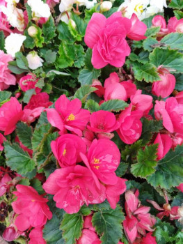 Чем сегодня занимались - IMG_20210911_165155.jpg