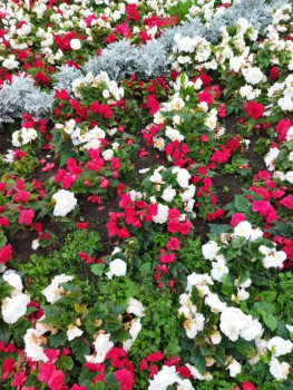 Чем сегодня занимались - IMG_20210911_165109.jpg