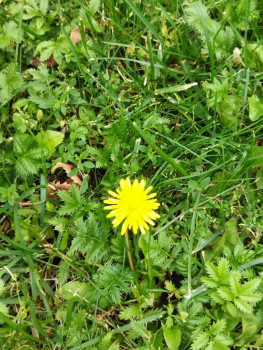 Чем сегодня занимались - IMG_20210911_164142.jpg