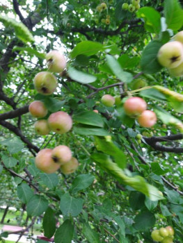 Чем сегодня занимались - IMG_20210911_163935.jpg