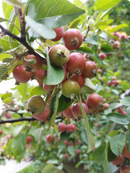 Чем сегодня занимались - IMG_20210911_163740.jpg