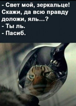 Из ВКонтактика с приветиком  - IMG_20210921_013912.jpg