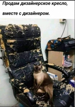 Из ВКонтактика с приветиком  - IMG_20210725_131225.jpg