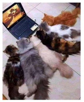 Из ВКонтактика с приветиком  - IMG_20210629_091234.jpg