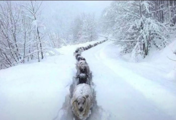 Доброго утра Хорошего дня Спокойной ночи  - IMG_20210921_013701.jpg