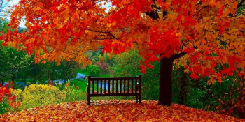 Доброго утра Хорошего дня Спокойной ночи  - X6rG9sdrxwA.jpg