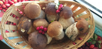 Доброго утра Хорошего дня Спокойной ночи  - a5xshYwxPsM.jpg