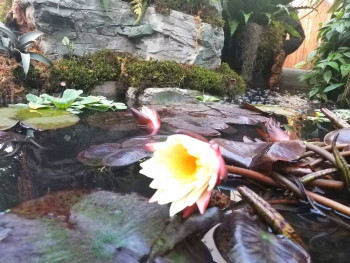 Чем сегодня занимались - IMG_20211009_173141.jpg