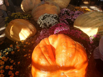 Чем сегодня занимались - IMG_20211009_173214.jpg