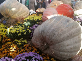 Чем сегодня занимались - IMG_20211009_174115.jpg