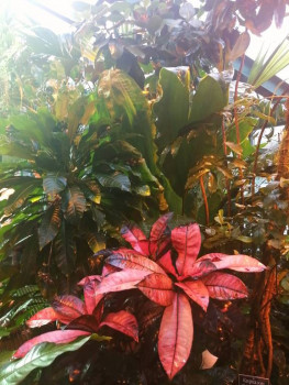 Чем сегодня занимались - IMG_20211009_174410.jpg