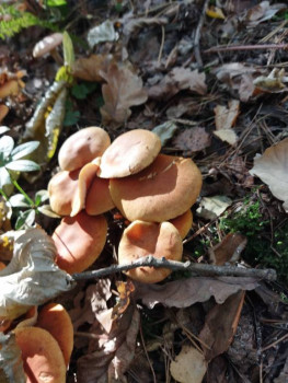 Чем сегодня занимались - IMG_20211010_135032.jpg