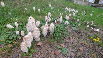 Чем сегодня занимались - 20211010_161110.jpg