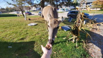 ВСЁ обо ВСЁМ или наши флудилки - 2 - 20211012_135553_HDR.jpg