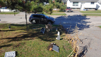 ВСЁ обо ВСЁМ или наши флудилки - 2 - 20211012_135410.jpg