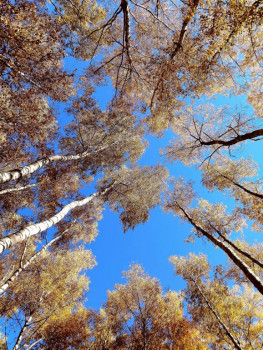 Чем сегодня занимались - IMG_20211016_221431.jpg