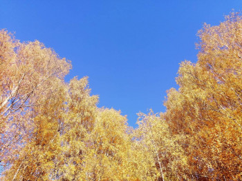 Чем сегодня занимались - IMG_20211008_162036.jpg