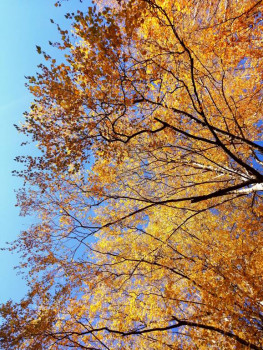 Чем сегодня занимались - IMG_20211008_152912.jpg