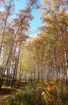 Чем сегодня занимались - IMG_20211008_152804.jpg